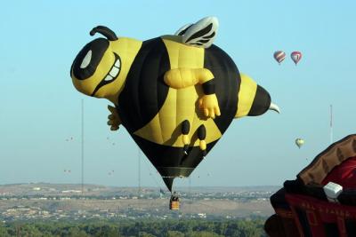 Albuquerque Balloon Fiesta 2010