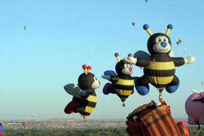 Albuquerque Balloon Fiesta 2010