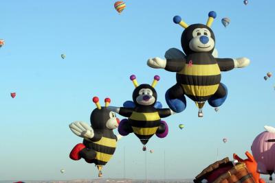 Albuquerque Balloon Fiesta 2010