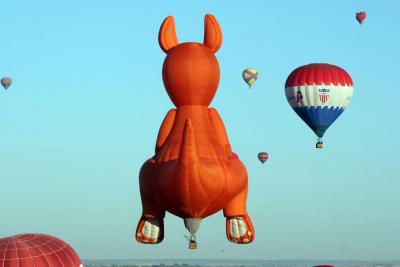 Albuquerque Balloon Fiesta 2010