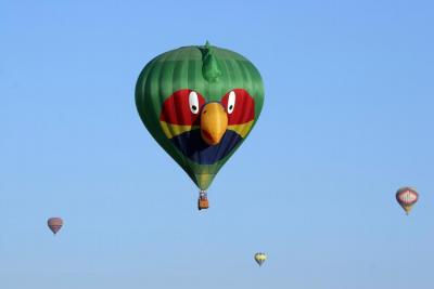 Albuquerque Balloon Fiesta 2010