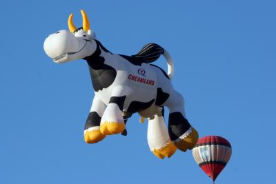 Albuquerque Balloon Fiesta 2010