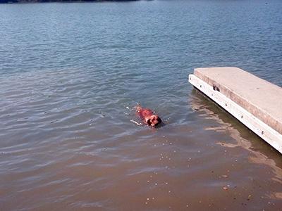 Nikki swimming at Kerrville