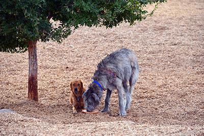 Quinn and Nikki playing in Albuquerque