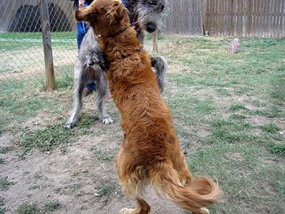 Quinn and Nikki playing in Cheyenne