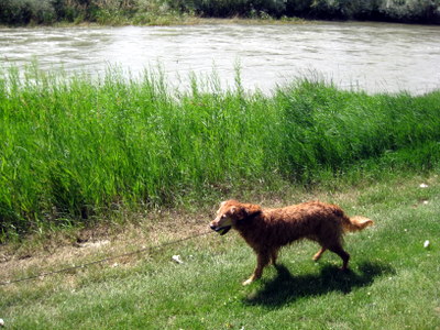 Holly at the Big Horn River