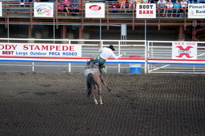 Bucking Bronc at the Cody Night Rodeo