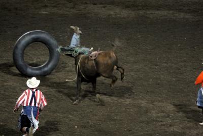 Bullriding at the Cody Night Rodeo