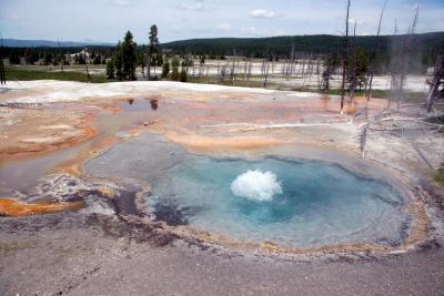 Hot Spring on the Firehole Loop in Yellowstone
