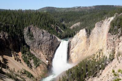 Lower Yellowstone Falls