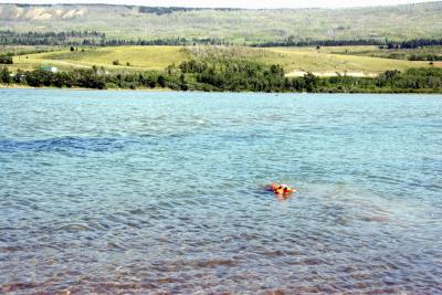 Holly swimming in Lower St Mary Lake