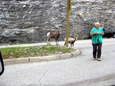 The Icefields Parkway