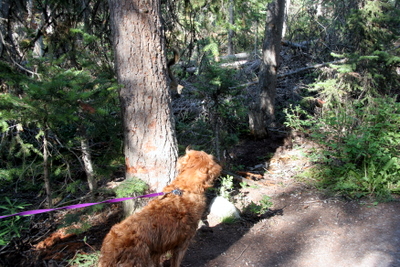 Holly at Lake Louise.