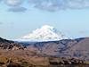 Mt Hood