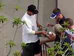 Cubs signing autographs