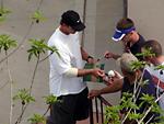 Cubs signing autographs