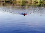 San Joaquin River