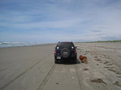 Holly waiting to continue the beach ride