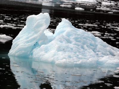 Iceberg near Columbia Glacier