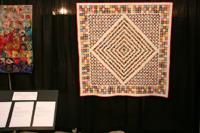 Houston Quilt Show Pictures