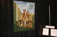 Houston Quilt Show Pictures