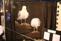 Houston Quilt Show Pictures