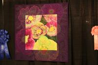 Houston Quilt Show Pictures