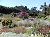 Mendocino Coast Botanical Gardens