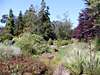 Mendocino Coast Botanical Gardens