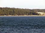 Ft Flagler