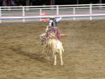 Cody Nite Rodeo