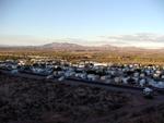 Saguaro SKP park