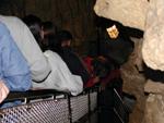 Mammoth Cave