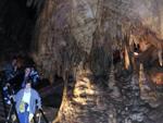 Mammoth Cave