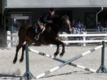 Kentucky Horse Park