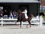 Kentucky Horse Park