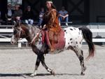 Kentucky Horse Park