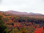 Catskill Color