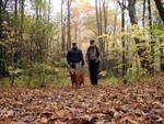 Mt Holyoke Range State Park