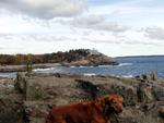 Acadia National Park