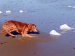 Salisbury Beach