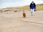 Race Point Beach