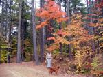 Ames Brook, Ashland