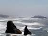 The rugged Oregon Coast near Bandon