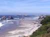 The rugged Oregon Coast near Bandon