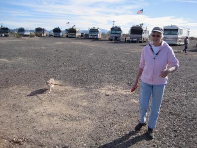 2010 Quartzsite Blue Bird rally