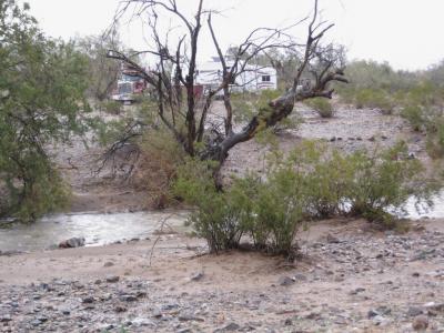 2010 Quartzsite Blue Bird rally