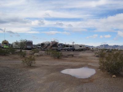 2010 Quartzsite Blue Bird rally