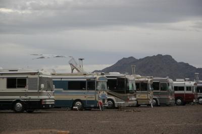 2010 Quartzsite Blue Bird rally