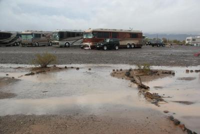 2010 Quartzsite Blue Bird rally